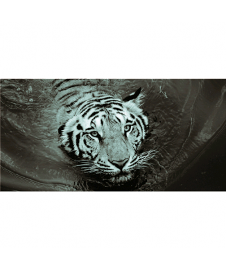 Marco TIGER G5952 PINTDECOR