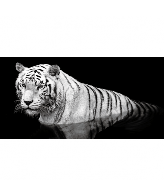 Marco TIGRE EN EL AGUA G2010 PINTDECOR