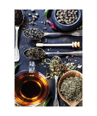 Marco HERBAL TEA G2740 PINTDECOR