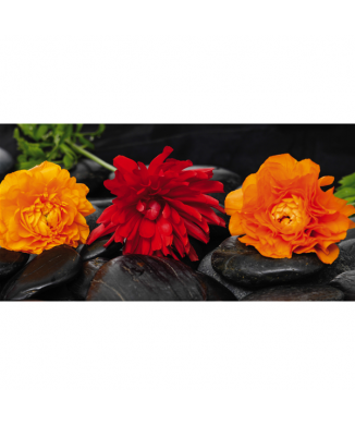 Marco TRES FLORES SOBRE PIEDRAS NEGRAS G1924 PINTDECOR