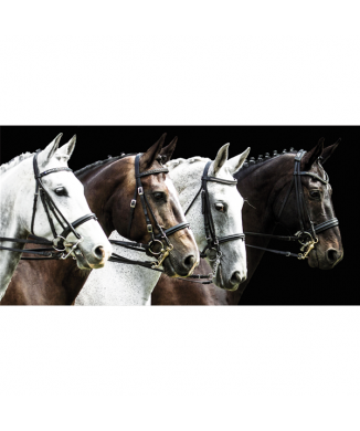 Marco TROT G3310 PINTDECOR