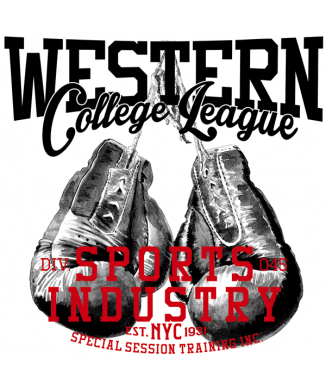 Cuadro WESTERN COLLEGE G1314 PINTDECOR