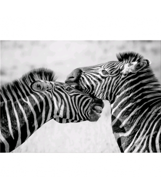 Marco ZEBRE G5934 PINTDECOR