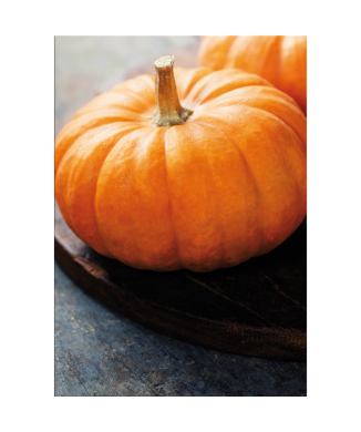 Marco CALABAZA AMARILLA G2756 PINTDECOR