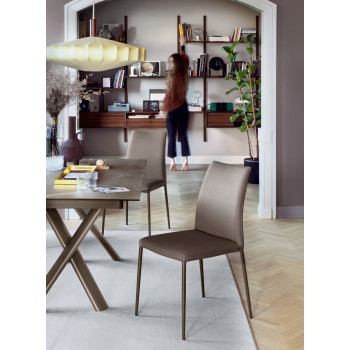 Cátedra ATLAS CONNUBIA