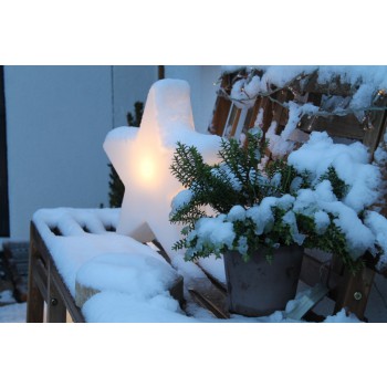 Estrella Luminosa 40 cm 32349W Diseño 8 Estaciones