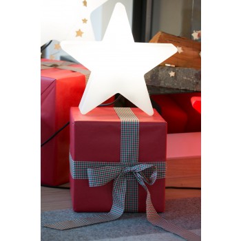 Estrella Luminosa 40 cm 32349W Diseño 8 Estaciones