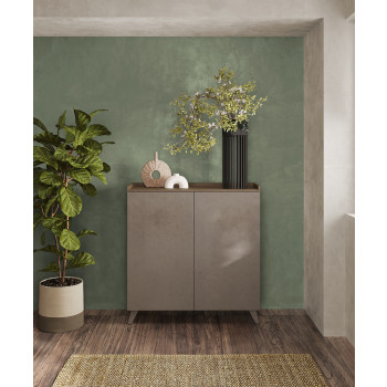 BANDEJA-Contenedor alto con 2 puertas