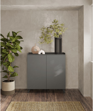 BANDEJA-Contenedor alto con 2 puertas