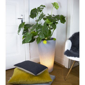 Jarrón Luminoso Clásico L 32061 Diseño 8 Estaciones