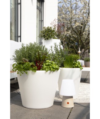 Jarrón Clásico Luminoso xm 32063 Diseño 8 Estaciones