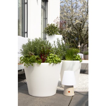 Jarrón Clásico Luminoso xm 32063 Diseño 8 Estaciones