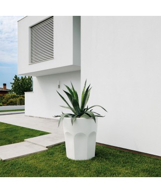 JARRON CUBALIBRE 6223 PLUST