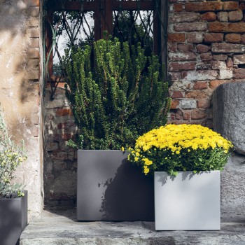 JARRON CUBOTTO PROFUNDO 330 SERRALUNGA