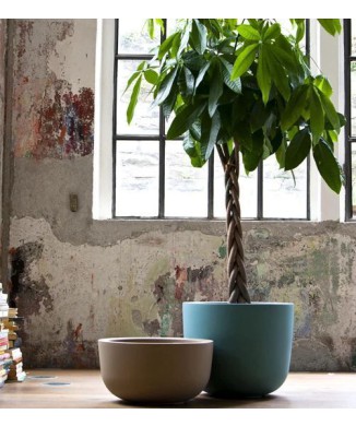 JARRON CUP445 SERRALUNGA