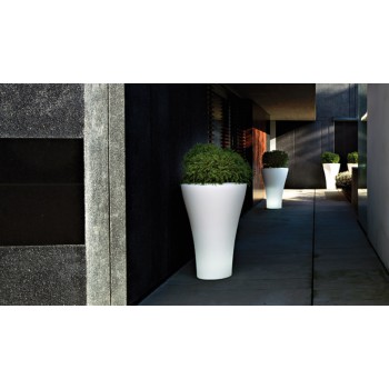 JARRON ALTA SERRALUNGA MING