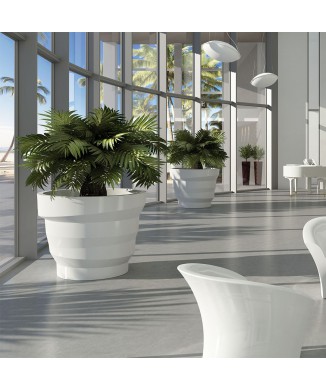 JARRON REBELOT 6224 PLUST